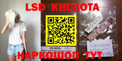 ешки Новокубанск