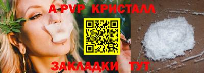 стаф Новодвинск