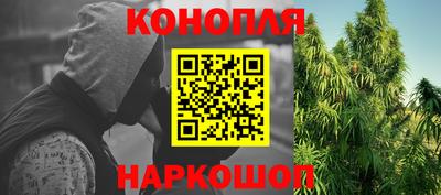 стаф Новодвинск