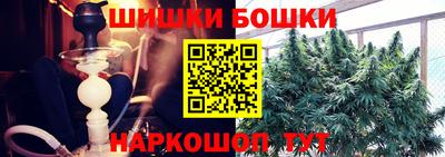 стаф Новодвинск