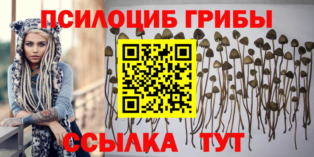 Альфа ПВП Первоуральск