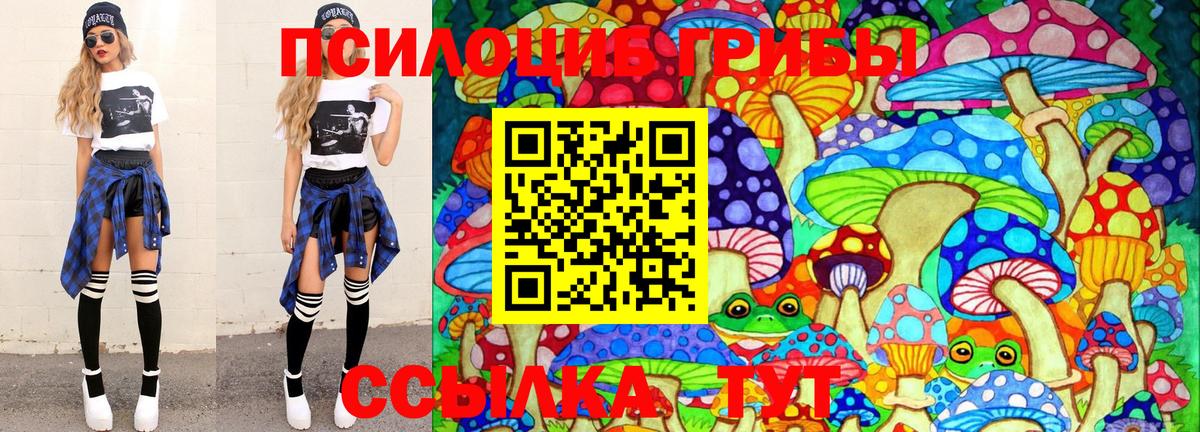 где продают   Вход с VPN  Первоуральск  Галлюциногенные грибы Psilocybe 